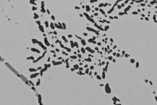 マテリアルデザイン